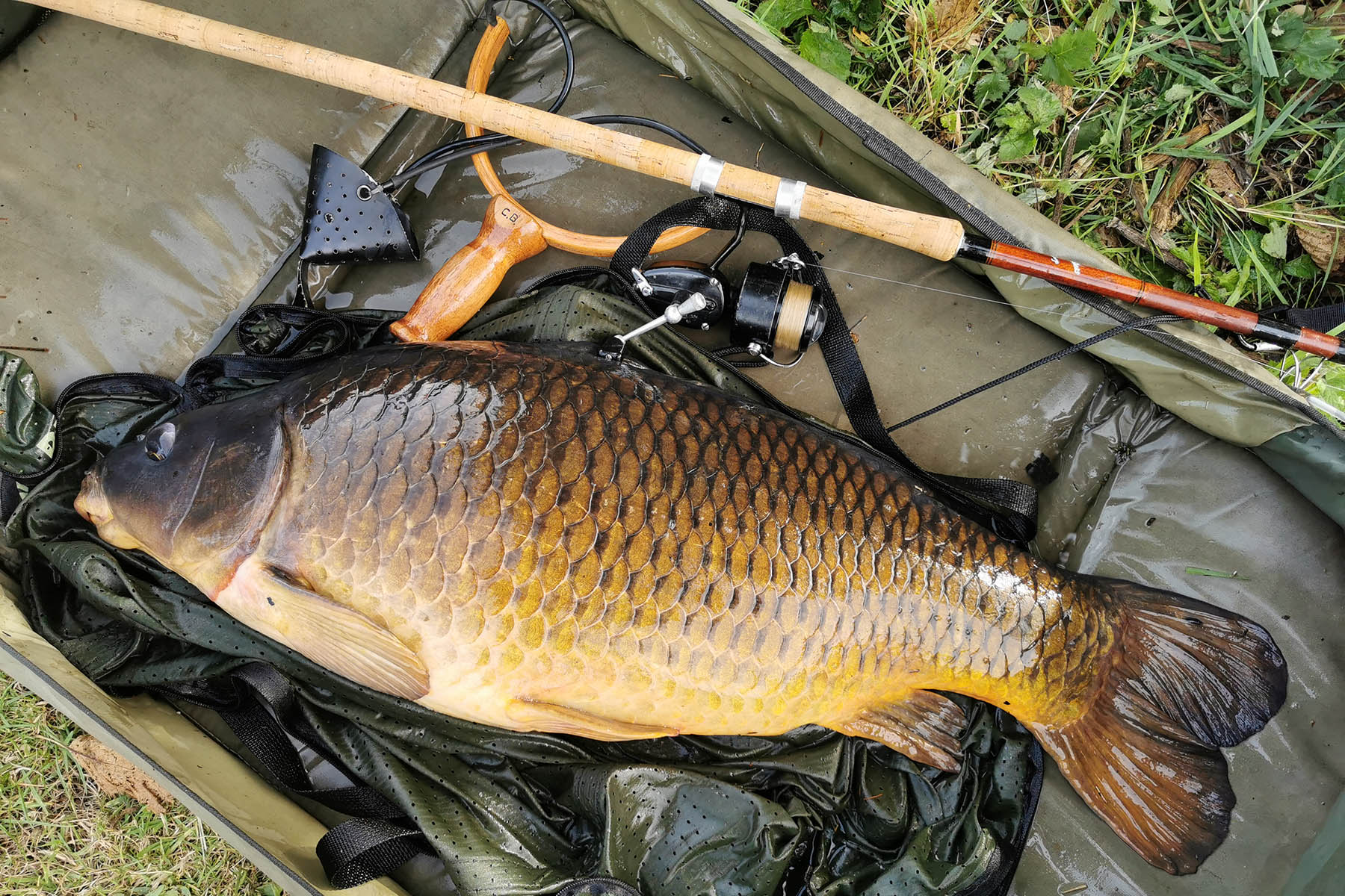 Meadow - 27lb 2oz - Lagoon - 29th July 2020 - Mixer - Pic 5.jpg